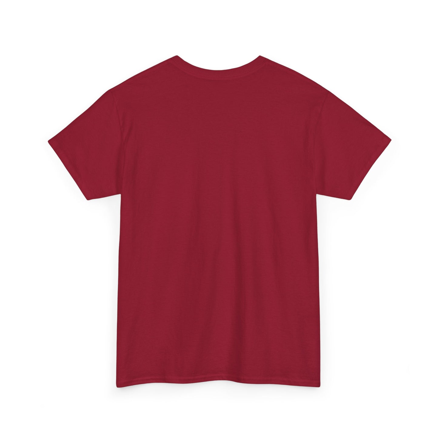 A Book A Day Keeps The Nice Men Tee | Book Lover T-Shirt