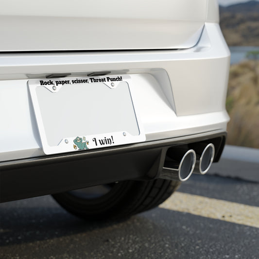 Brushed Metal License Plate Frame | Stainless Steel Car Plate Border