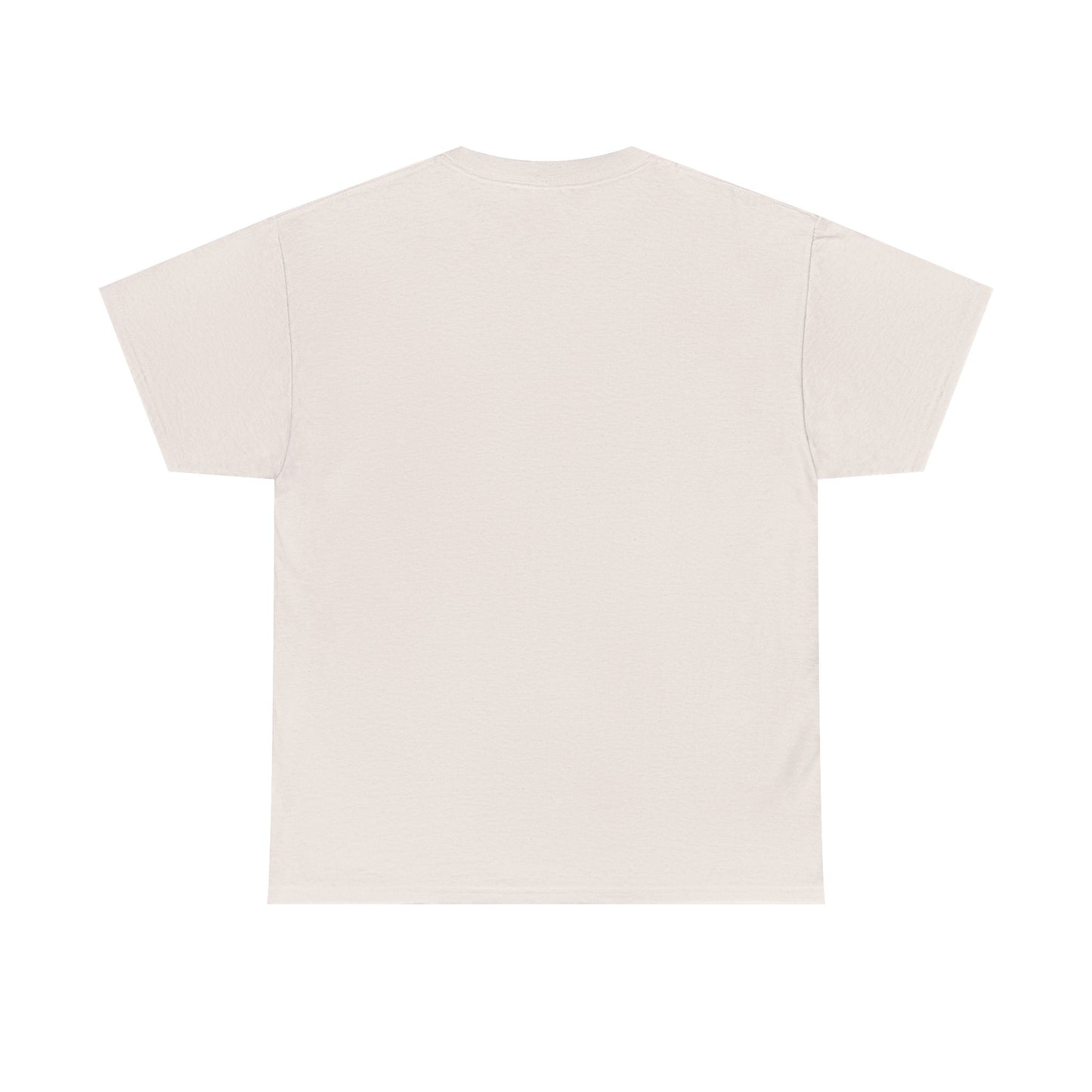 A Book A Day Keeps The Nice Men Tee | Book Lover T-Shirt