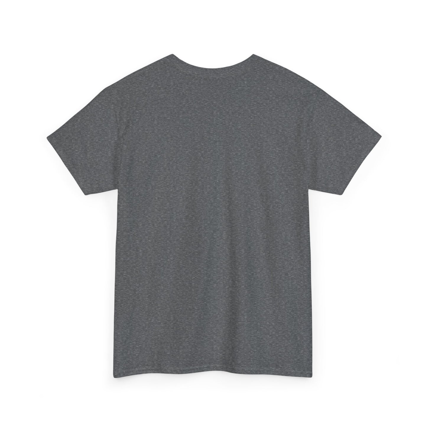A Book A Day Keeps The Nice Men Tee | Book Lover T-Shirt