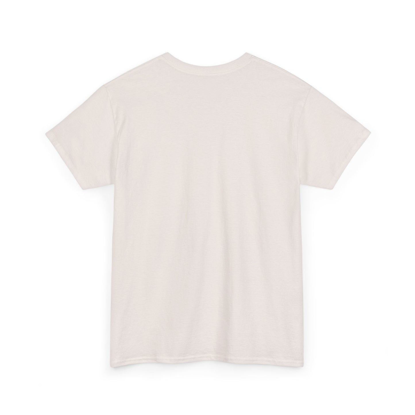 A Book A Day Keeps The Nice Men Tee | Book Lover T-Shirt